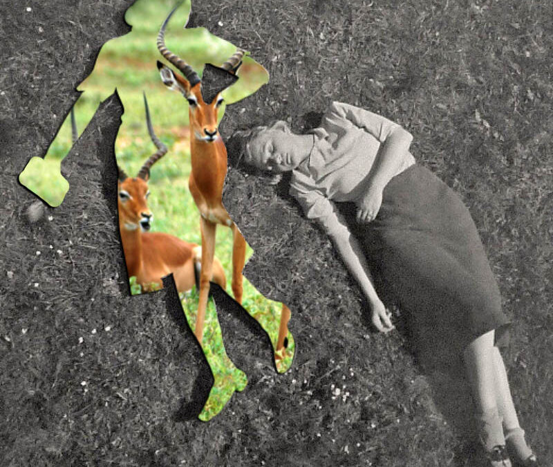 A priori et anthropomorphismes